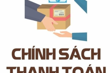 CHÍCH SÁCH THANH TOÁN
