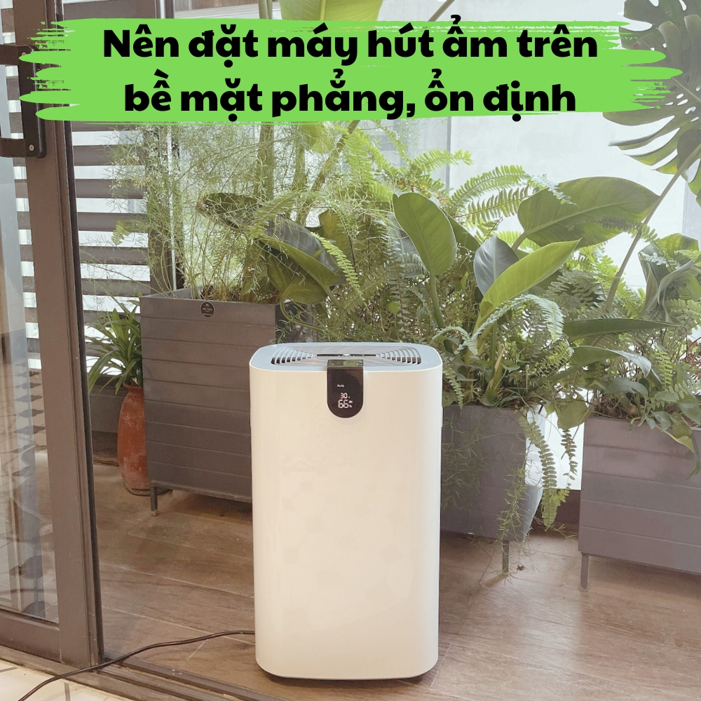 may-hut-am-de-tren-be-mat-phang