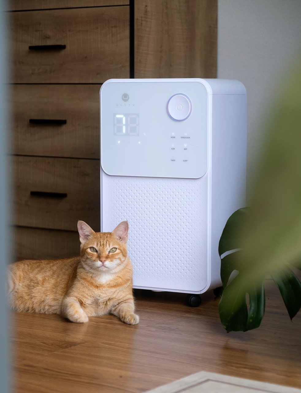 nên mua máy hút ẩm loại nào