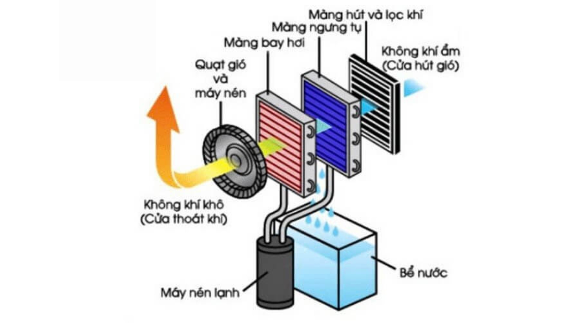 nguyên lý hoạt động máy hút ẩm