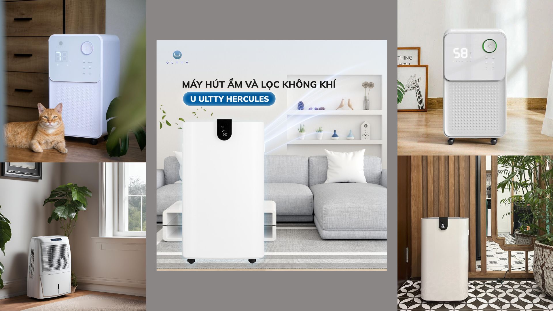 nguyên lý hoạt động máy hút ẩm