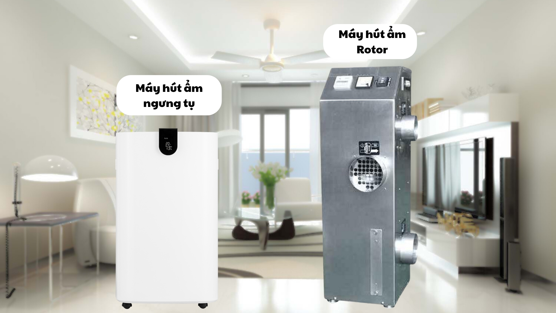 nguyên lý hoạt động máy hút ẩm